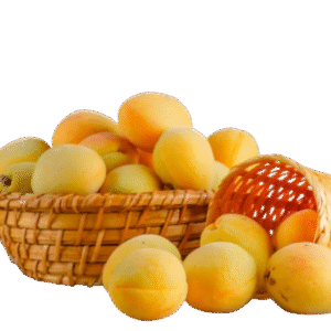 Organice Apricot