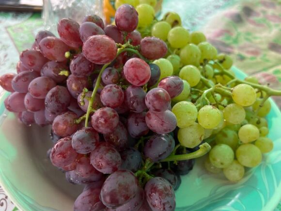 WhatsApp Image 2025-08-31 at 21.52.55_d92026cc